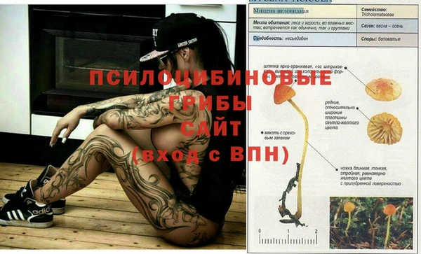 spice Арсеньев