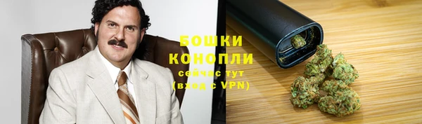 spice Арсеньев
