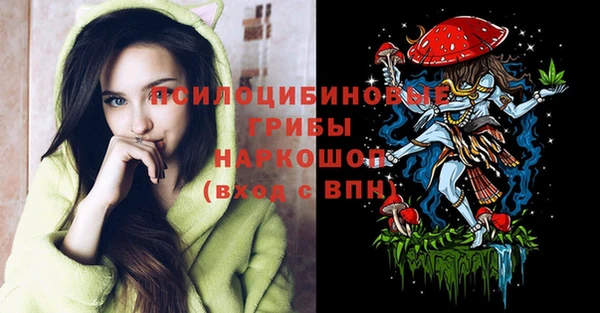 таблы Новодвинск
