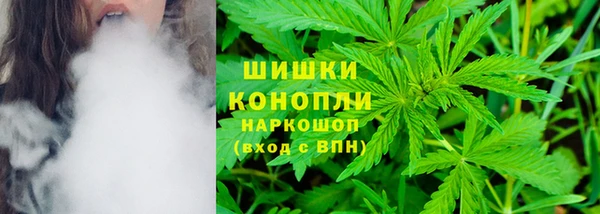 mdpv Новозыбков