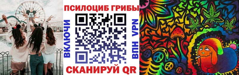Галлюциногенные грибы Psilocybe  blacksprut ссылка  Мурманск  купить закладку 