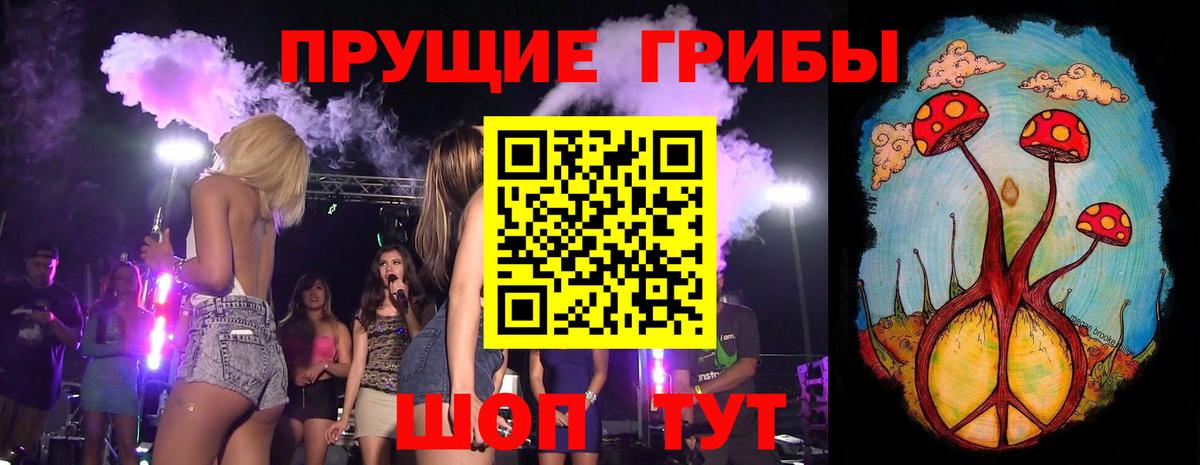 Псилоцибиновые грибы прущие грибы  купить наркоту  Мурманск  Вход с VPN 